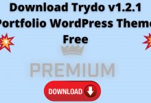 Download trydo v1. 2. 1 portfolio wordpress theme free