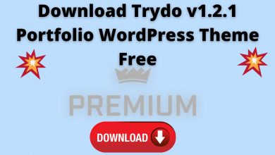 Download Trydo V1.2.1 Portfolio Wordpress Theme Free