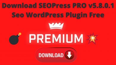 Download Seopress Pro V5.8.0.1 Seo Wordpress Plugin Free