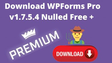 Download Wpforms Pro V1.7.5.4 Nulled Free +