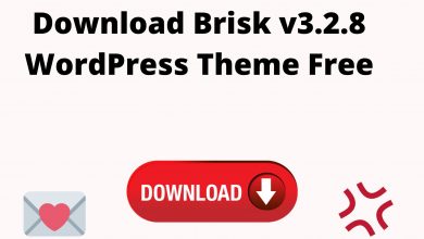 Download Brisk V3.2.8 Wordpress Theme Free