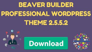 Beaver Builder Professional Wordpress Theme 2.5.5.2