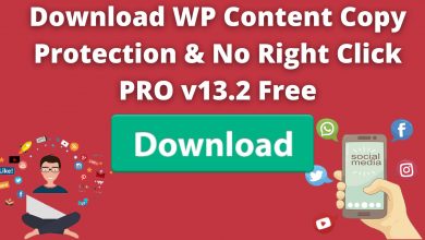 Download Wp Content Copy Protection &Amp; No Right Click Pro V13.2 Free