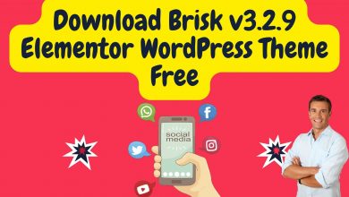 Download Brisk V3.2.9 Elementor Wordpress Theme Free