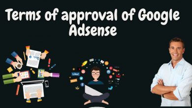Terms Of Approval Of Google Adsense