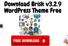Download brisk v3. 2. 9 wordpress theme free