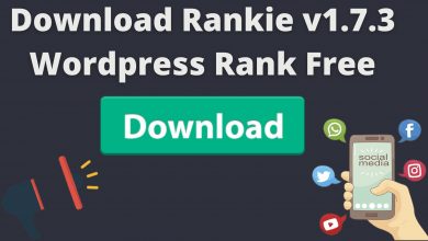 Download Rankie V1.7.3 Wordpress Rank Free