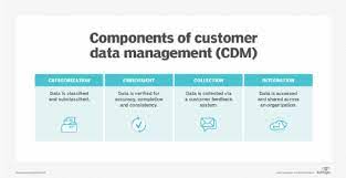 What is customer data management (cdm)?