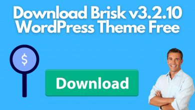Download Brisk V3.2.10 Wordpress Theme Free