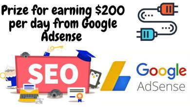 Prize for earning $200 per day from Google Adsense 