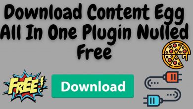 Download Content Egg All In One Plugin Nulled Free