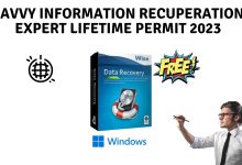 Savvy information recuperation expert lifetime permit 2023