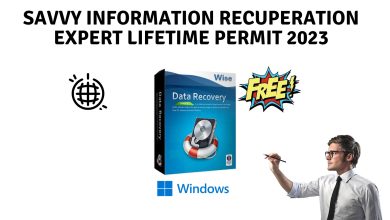 Savvy information recuperation expert lifetime permit 2023