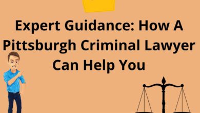 Expert Guidance: How A Pittsburgh Criminal Lawyer Can Help You