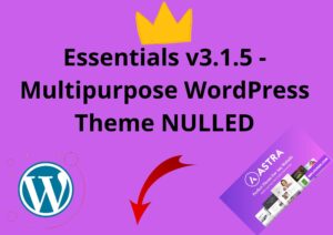 Astra Pro Addon v4.3.3: The Perfect Nulled Theme for Every Website